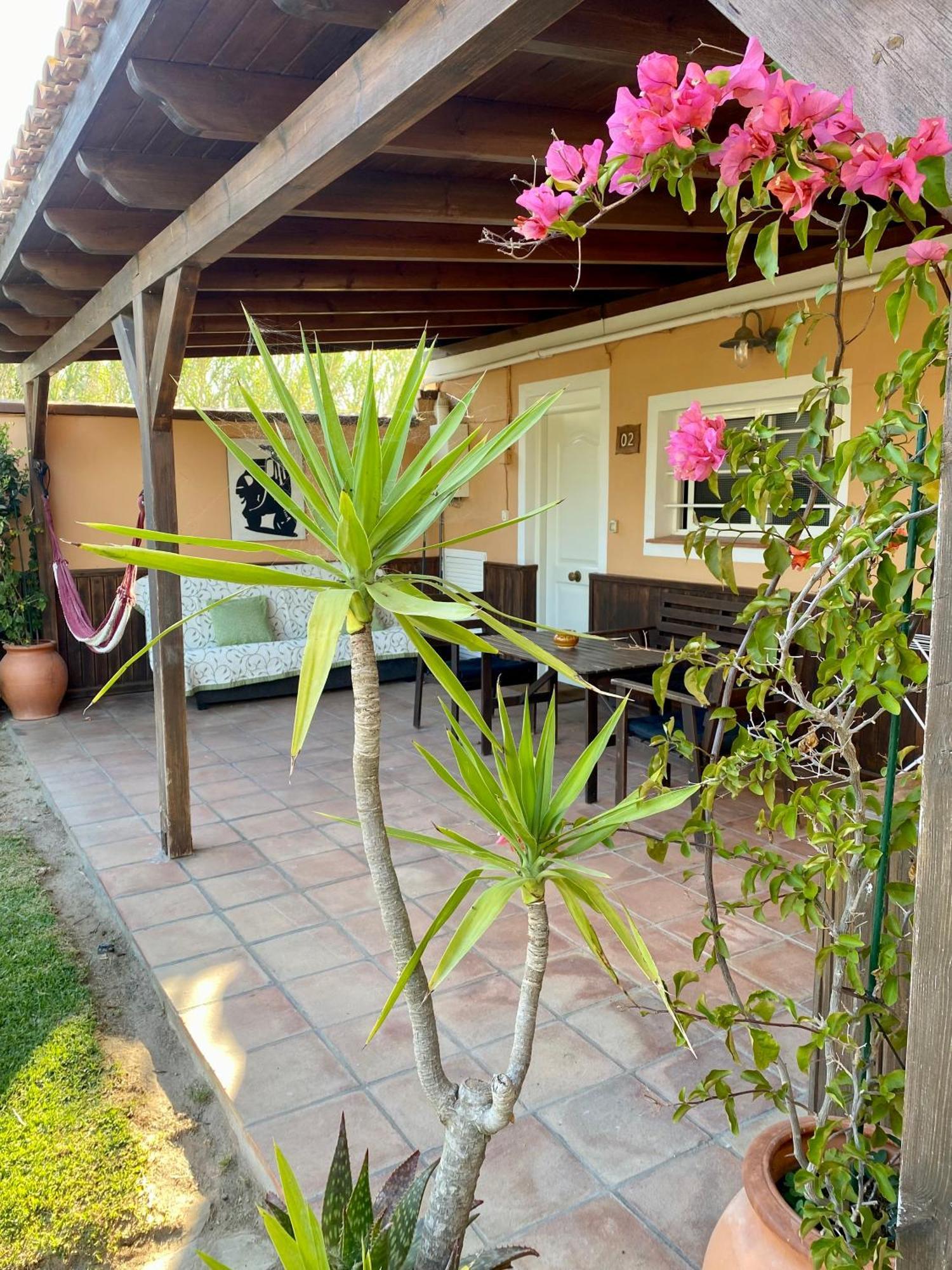 Kitecamp Tarifa Daire Dış mekan fotoğraf